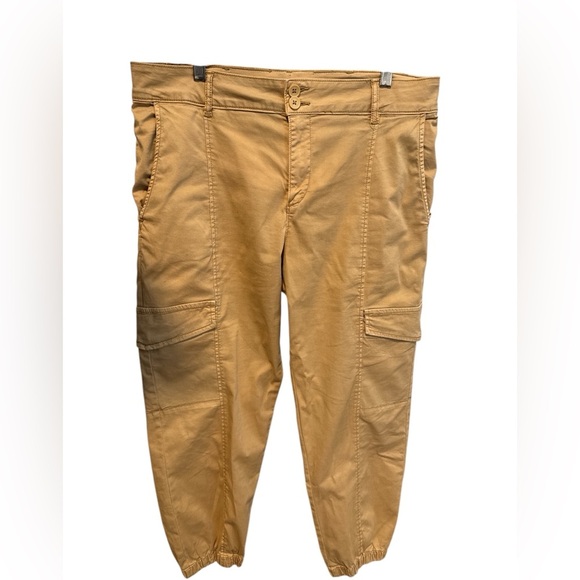 Sanctuary Rebel Relaxed Cargo Pant Jogger Size 31 Camel Dark Khaki Utility - Picture 1 of 9